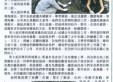 面向挑戰(二)